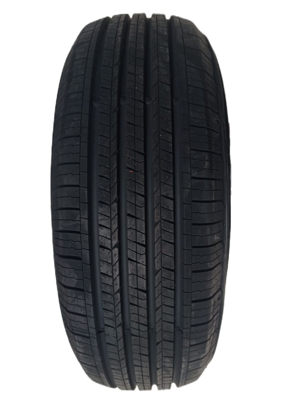 195/55R15 ROADTRACK TERRENA AS 85V